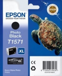 Epson Tinte photo black für Stylus Photo R3000