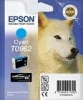 Epson Tinte cyan für Stylus Photo R2880